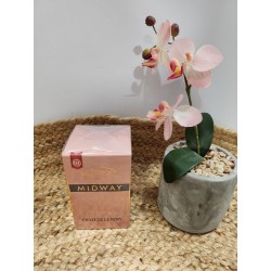 Inspiración de Perfumes Midway | PERFUMES |