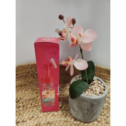 Removedor de Maquillaje con Esponja | MAQUILLAJE |