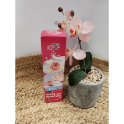 Removedor de Maquillaje con Esponja | MAQUILLAJE |