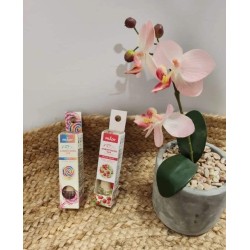 Ambientador de Coche | PERFUMES |