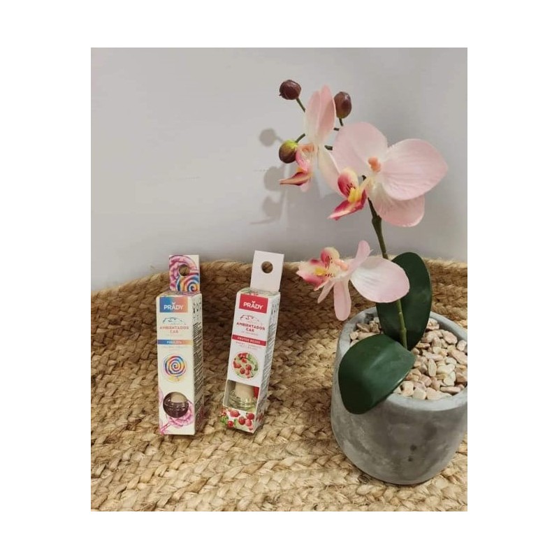 Ambientador de Coche | PERFUMES |