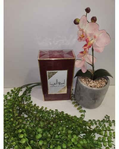 Perfume arabe | Inicio |