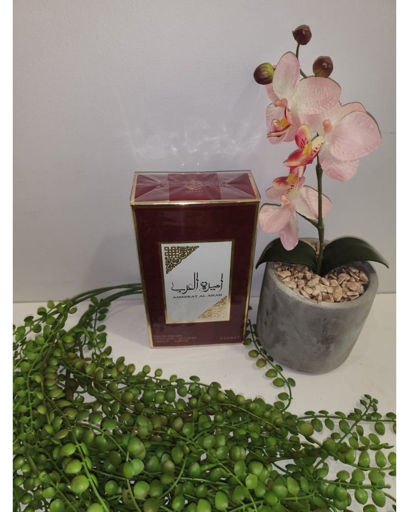 Perfume arabe | Inicio |