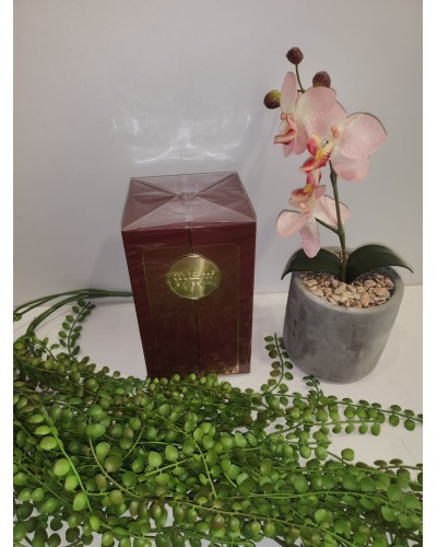 Perfume arabe | Inicio |